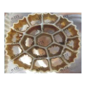 <span class=keywords><strong>Biofiltro</strong></span> CATAQUA HDPE para acuicultura K2 <span class=keywords><strong>Biofiltro</strong></span> Medios Acuicultura Flotadores - Product Image 2
