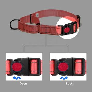 Verstelbare Reflecterende Nylon Training Hondenhalsband Martingale Dubbele Ring Afsluitbare Hondenhalsband - Product Image 6