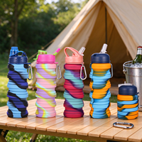 Bouteille d'eau pliable en silicone 500 ml, rétractable, portable, pour le sport et les voyages en extérieur, sans BPA, directement de l'usine