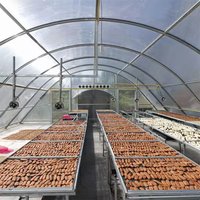 Vente chaude séchage solaire graines dôme séchage serre pour les agriculteurs