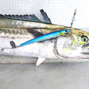 Pour BKK plaque <span class=keywords><strong>de</strong></span> <span class=keywords><strong>fer</strong></span> crochet <span class=keywords><strong>de</strong></span> pêche en mer résistant à la Corrosion <span class=keywords><strong>fort</strong></span> rallye avec Luya pour la pêche au fond <span class=keywords><strong>de</strong></span> la <span class=keywords><strong>carpe</strong></span> avec technique barbelée - Product Image 3