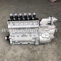 Venta Directa de Fábrica, Piezas de Motor Diésel, Bomba de Inyección de Combustible VG1246080097 para Sinotruk Howo