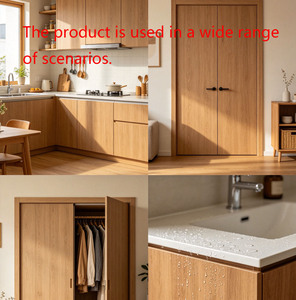 Pannelli per Porte in WPC Senza Polvere di Legno e Odori Pungenti, Prodotto Finale Senza Odori Sgradevoli - Product Image 6