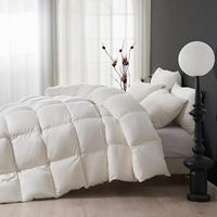 Couette en duvet d'oie/canard biologique en gros Couette d'hiver pour Queen/King à usage domestique inspirée de l'hôtel Hilton