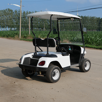 Voitures de golf tout-terrain chinoises à bas prix, personnalisées, de haute qualité, à 2 places, polyvalentes, pour le tourisme, le camping et les clubs