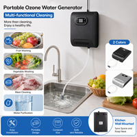 Générateur d'ozone numérique domestique O3 pour le lavage des fruits et légumes, le nettoyage des aliments de cuisine et le traitement de l'eau