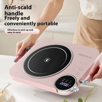 2025 nouveau poêle en céramique électrique haut de gamme 3500W cuisinière de cuisine multifonctionnelle haute puissance avec fonction Hotpot pour un usage domestique