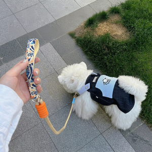 Vente en gros et dropshipping : Laisse d'entraînement réglable en P, anti-traction et anti-évasion, pour Golden Retriever et Samoyed - Product Image 1