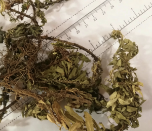 Suministro al por mayor de materias primas: Plantas agrícolas primarias tradicionales chinas, inspección de productos, exportación de Melitone Tower 1kg - Product Image 1