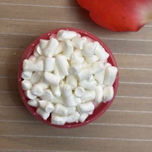 Granules de PP polypropylène PP 520L moulage par extrusion granules de plastique vierge homopolymère - Product Image 4