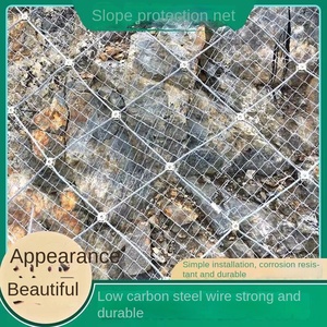 Bitki örtüsü takviye toprak stabilizasyonu gürültü azaltma bükme için dağ esnek aktif eğim koruma ağı dokuma - Product Image 2