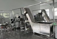 CE-gecertificeerde automatische fruitlerenmachine fruitverwerkingslijn