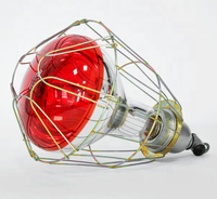 Lampe chauffante infrarouge en aluminium 175W/250W/275W 24V pour porcs et poulets, durable, fabriquée au Guangdong