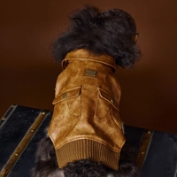 Manteaux pour chiens de luxe marron très demandés, vêtements pour animaux de compagnie, hiver, pour chiens
