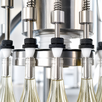 Machine de remplissage de liquides à siphon rotative personnalisée 60Hz 110V 220V à 14 têtes pour bouteilles de vin et spiritueux en verre, prise USA/UE
