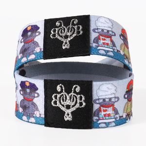 أساور مرنة للمهرجانات من البوليستر بتصميم كرتوني صديق للبيئة بألوان بانتون من هوليوش - Product Image 6