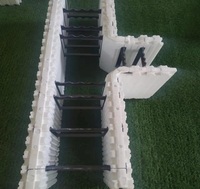 Blocs ICF de haute qualité fabriqués en Chine, formes en béton isolées en mousse, économie d'énergie, motif rectangulaire en EPS