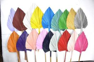 A-997 Ins Boho De Mariage Décor grand Petit or Blanchis Rose Blanc Sec Tropical Palm Fan <span class=keywords><strong>Feuille</strong></span> D'arbre Naturel Séchées Feuilles De <span class=keywords><strong>Palmier</strong></span> - Product Image 4