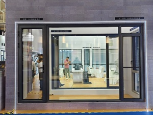 Bán Hot nhôm khuôn cửa sổ đôi đu cửa sổ đôi kính cửa sổ khung cửa sổ - Product Image 5