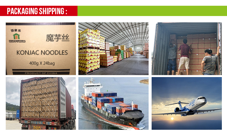 JOLION Home Cooking China Suppliers Shirataki Ko<i></i>njac Noodles Dried