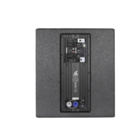 Subwoofer Profesional Activo de 12 Pulgadas y 8 Ohmios con Caja Acústica y DSP