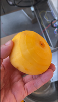 Automatische harde persimmon-schilmachine, fruitenschiller voor persimmon, elektrische persimmon-schilmachine