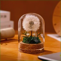 Lampu Malam Kubah Kaca Bunga Dandelion Abadi, Hiasan Meja Bunga Kering Awet Buatan Tangan 6x15cm, Hadiah