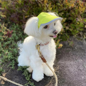 Outdoor-Sonnenhut, wasserdichter <span class=keywords><strong>Nylon</strong></span>-Bucket-Hut für den Sommer, Reisehut, reflektierende Baseball-Trucker-Kappe mit Ohrenloch für Hunde und Katzen - Product Image 3