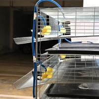 Système de cage à cailles à 6 niveaux pour usage commercial |   Cage à cailles en métal galvanisé haute capacité |   Équipement avicole professionnel