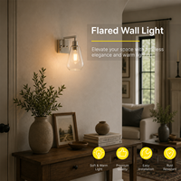 Lampu Dinding Besi Vintage Bohlam LED Finishing Nikel Poles Badan Kaca Bening Lampu Dinding Latar Belakang Ruang Tamu Kamar Mandi Kamar Tidur