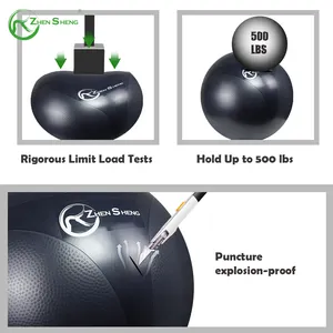 Zhen sheng Bulk Anti-Rutsch-Pilates Übung Schweizer Yoga-Ball 65cm