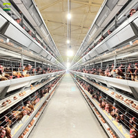 Projet clé en main pour ferme avicole de 100 000 poules pondeuses, système de cages automatiques pour la production commerciale d'œufs à grande échelle