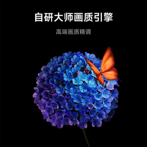Encuadernación original <span class=keywords><strong>Xiaomi</strong></span> TV S55 Mini LED <span class=keywords><strong>55</strong></span> <span class=keywords><strong>pulgadas</strong></span> L55MASPL Home Smart TV 230W 220V 4K Scree - Product Image 5