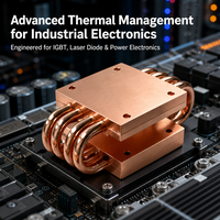 Dissipateur thermique en cuivre à haute conductivité thermique, plaque froide à caloduc brasé sous vide pour diodes laser, IGBT et onduleurs industriels