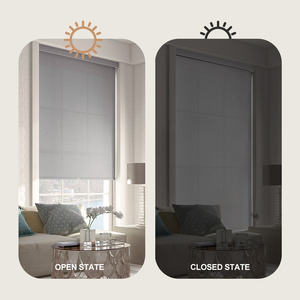 تصميم عصري حمار وحشي الستائر التعتيم المزدوج الظل المدمج في ظلال الأسطوانة الكهربائية الآلية - Product Image 5