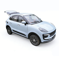 Venta al por Mayor de Mini Vehículos Eléctricos Personalizados, Vehículo Eléctrico SUV, Mini Vehículos Eléctricos para Adultos