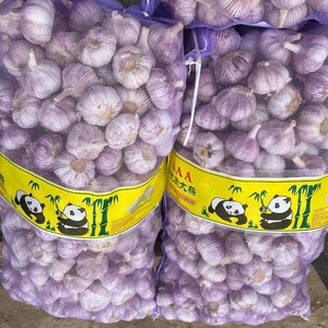 Chất Lượng Cao Hữu Cơ Bình Thường Tỏi Trắng Tươi Trắng 5.5Cm 10Kg Trong Lưới Túi Chi Phí Hiệu Quả Cho Thực Phẩm Sử Dụng - Product Image 4