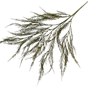 Hierba artificial de barba de dragón, ramo de ramas verdes de PP de 30 cm a 190 cm para decoración de bodas y hoteles - Product Image 5