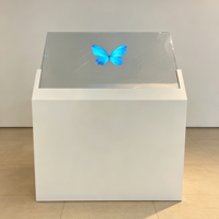 Afficheur numérique OLED personnalisable de 55 pouces, résolution 1920x1080, écran transparent pour la publicité dans les centres commerciaux, les métros