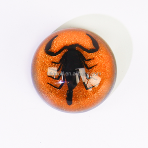 Artesanía de resina transparente hecha a mano, espécimen de insectos, pisapapeles, animales, escorpión, pantallas de insectos, exhibición científica, resina de insectos - Product Image 2