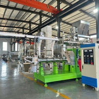 Ligne de production automatique d'aliments pour animaux de compagnie, usine de fabrication d'aliments secs pour chats et chiens de grande capacité, machine industrielle de fabrication d'aliments pour chiens et chats