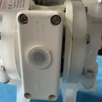 P100 Pneumatische Membranpumpe 0,5 Zoll Pumpe Mit PTFE oder Neopren Membran PTFE Ventilkugel