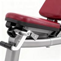 Banc de fitness robuste réglable équipement d'exercice multi-réglage musculation cadre en acier au carbone à usage commercial unisexe