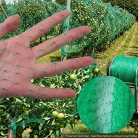 Filet de protection invisible vert en HDPE contre les oiseaux, filet de capture d'oiseaux pour l'agriculture