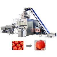 Ligne de machines à peler à la vapeur industrielle, équipement automatique pour enlever la peau des tomates, des pommes de terre et des carottes