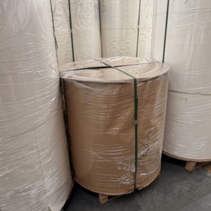 Papier de base blanc enduit de PE, biodégradable, prêt à l'emploi en vrac, matière première pour fonds de gobelets imprimés en offset - Product Image 2