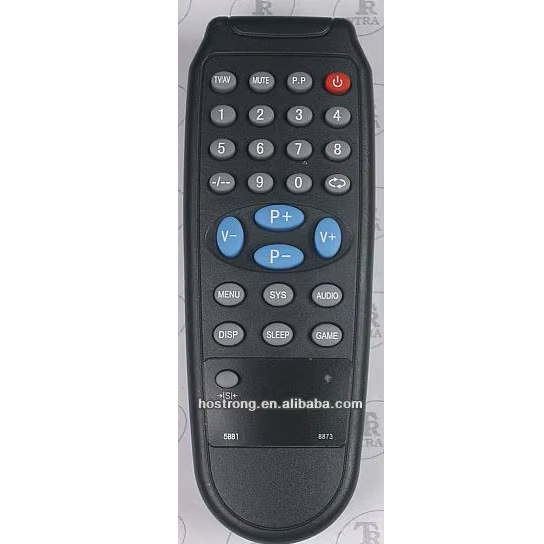 Hostrong China-HTM-BSR 8873 Fixed Code & Rolling Code TV Remote Control Factory Wholesale