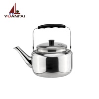 Bouilloire portable pour voyage, 250 ml, bouilloire de santé, style chaud