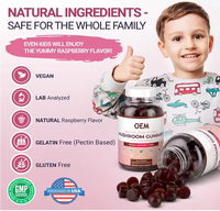 WELLBODY OEM/ODM Marque privée Vegan 10 en 1 Mélange de champignons Complexe de bonbons pour améliorer la mémoire Stimuler le système immunitaire Bonbon aux champignons