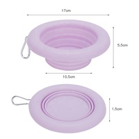 Bol pour animaux de compagnie pliable personnalisable, antidérapant, à large bord, en silicone de qualité alimentaire, design pliable, bol pour animaux de compagnie pour petits animaux